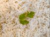 Plain Rice