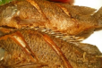 Fried Tilapia With Rice