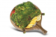 Green Chicken Charcoal Full