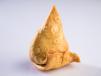 1 Samosa Piece