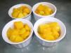 Mango Yogurt