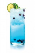 Blueberry Mojito
