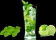 Mint Lemon Mojito
