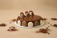 Mocha Cake