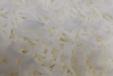 Plain Rice