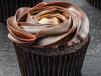 Double Chocolate Cupcake