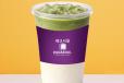 Iced Matcha Latte