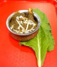 Palak Gosht