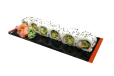 California Roll