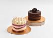 Chocolate and Red Velvet Baby Cakes