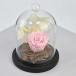 Graceful Pink Forever Rose in Dome