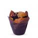 Lowfat  Blueberry Muffin