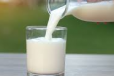 Fresh Milk