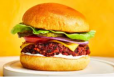 Vegetable Burger