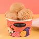 Salted Caramel Ice Cream