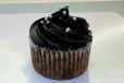 Chocolate Cupcake