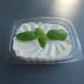 Garlic Plate