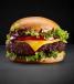 Gluten Free - Plant Based Burger