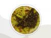 Zaatar Mini Manoushe