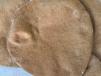 Diet Bread With Cinnamon And Ginger - 5 Pieces