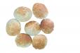 Arayes Bread (Mini Bread For Sandwiches) 10 Loaves