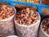 Dry Sakoty Dates – 500 Gm