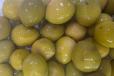 Olive Apple 250g