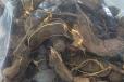 Natural Sudanese Tamarind (Ardeeb) 250g