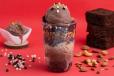 Mini Chocolate Fudge