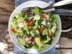 FATTOUCH OF THE GARDEN 