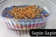 Sapin Sapin