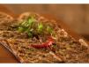 Minced meat and parsley