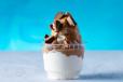 Saucy Peanut Butter Ice Cream