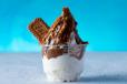 Saucy Lotus Ice Cream