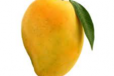 Mango juice 250 ml