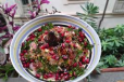 Moutabbal Salad