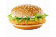 Khaleej Burger