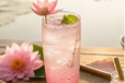 DYNAMITE LOTUS