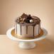 Choco Ice Cream Cake Big