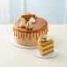 Lotus Ice Cream Cake Small