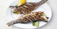 Grilled Mullet with Lemon and Oil Meal