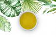 Olive Oil