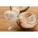 YOYO Coconut