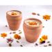 Govindas Thandai