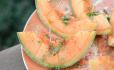 Cantaloupe Plate 