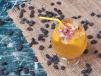 Passion Fruit Mojito