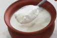 Plain Curd