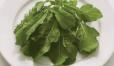 Arugula Plate