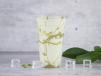 Pista Milkshake
