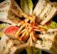Chicken Club Sandwich